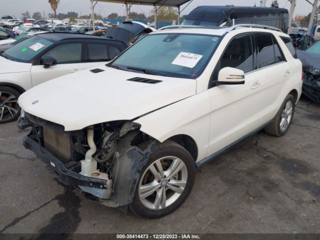 Photo 1 VIN: 4JGDA5HB6DA214066 - MERCEDES-BENZ ML 350 