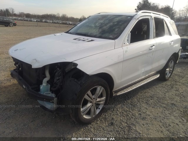 Photo 1 VIN: 4JGDA5HB6EA312337 - MERCEDES-BENZ M-CLASS 