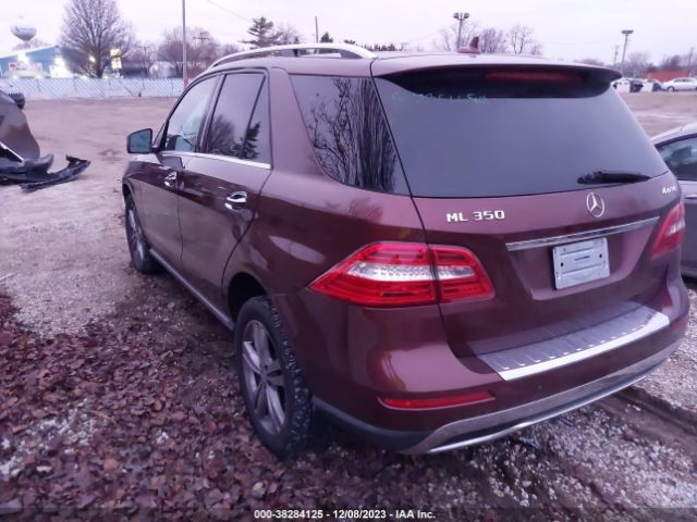 Photo 2 VIN: 4JGDA5HB6EA326111 - MERCEDES-BENZ ML 350 