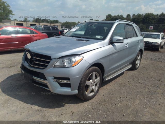 Photo 1 VIN: 4JGDA5HB6EA363465 - MERCEDES-BENZ M-CLASS 