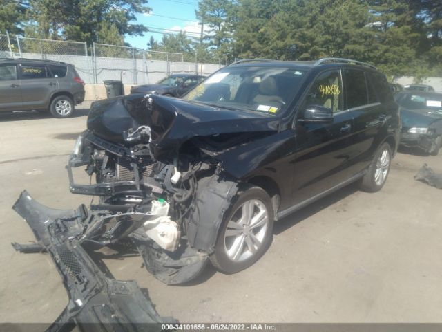 Photo 1 VIN: 4JGDA5HB6FA500681 - MERCEDES-BENZ M-CLASS 