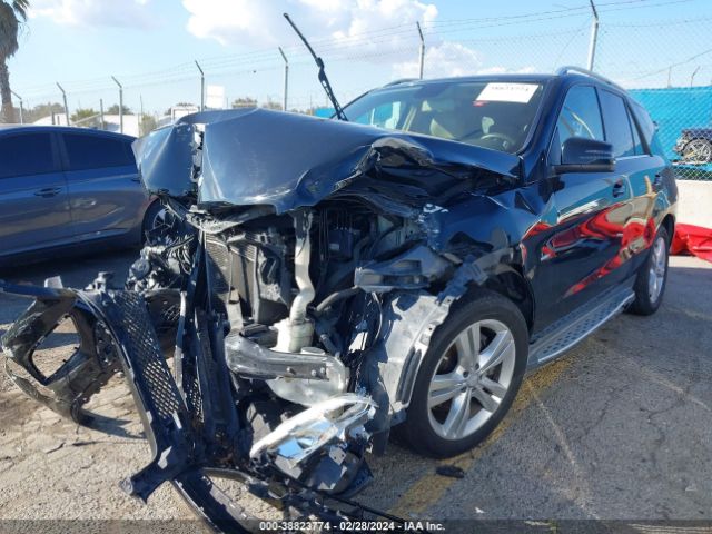 Photo 1 VIN: 4JGDA5HB7CA075659 - MERCEDES-BENZ ML 350 