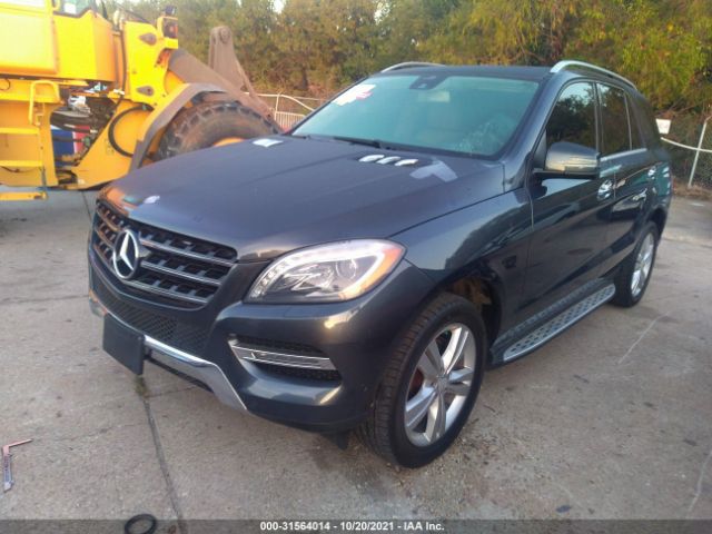 Photo 1 VIN: 4JGDA5HB7DA233001 - MERCEDES-BENZ M-CLASS 