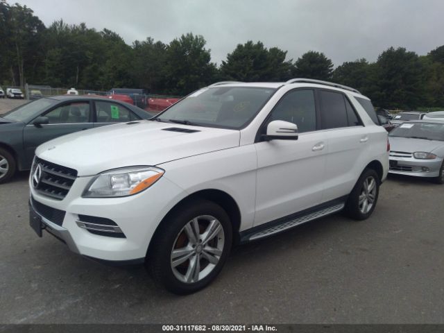 Photo 1 VIN: 4JGDA5HB7EA403990 - MERCEDES-BENZ M-CLASS 