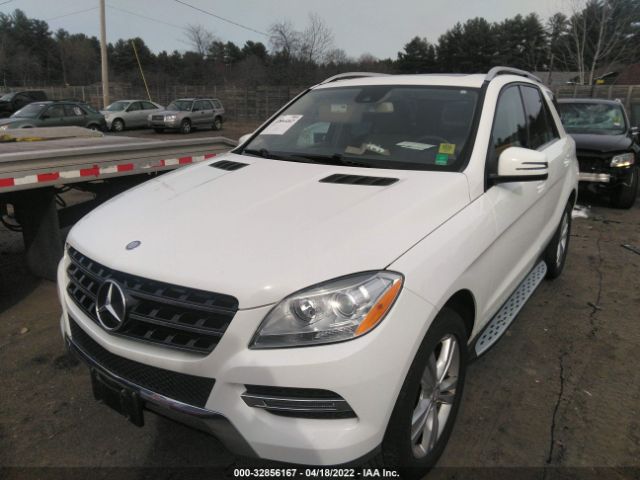 Photo 1 VIN: 4JGDA5HB7FA446954 - MERCEDES-BENZ M-CLASS 