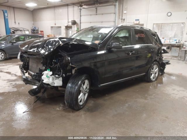 Photo 1 VIN: 4JGDA5HB7FA536542 - MERCEDES-BENZ ML-CLASS 