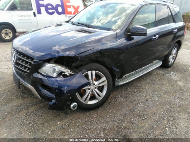 Photo 5 VIN: 4JGDA5HB7FA602409 - MERCEDES-BENZ ML-CLASS 