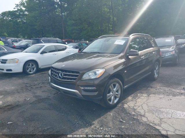 Photo 1 VIN: 4JGDA5HB8CA085326 - MERCEDES-BENZ ML 