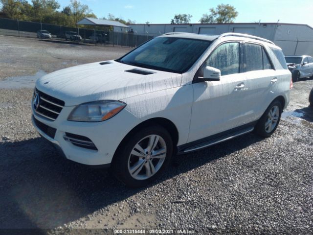 Photo 1 VIN: 4JGDA5HB8DA151696 - MERCEDES-BENZ M-CLASS 