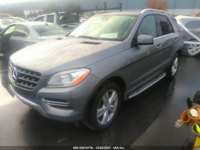 Photo 1 VIN: 4JGDA5HB8DA156901 - MERCEDES-BENZ M-CLASS 