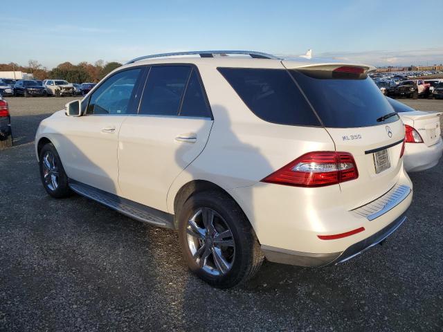 Photo 1 VIN: 4JGDA5HB8DA166490 - MERCEDES-BENZ M-CLASS 