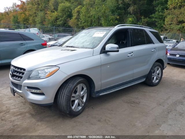 Photo 1 VIN: 4JGDA5HB8EA277106 - MERCEDES-BENZ M-CLASS 