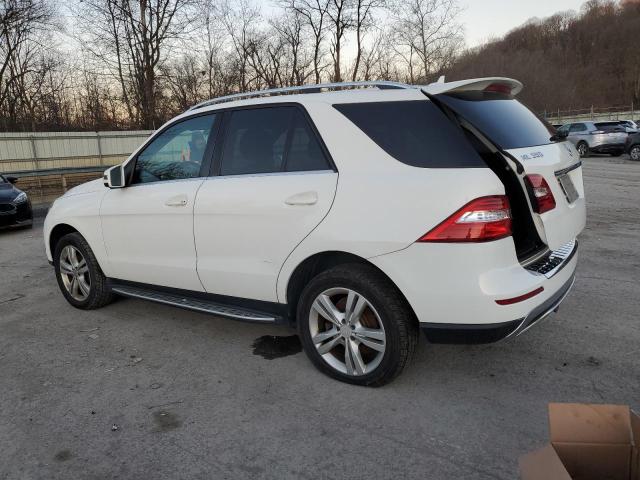 Photo 1 VIN: 4JGDA5HB8EA286372 - MERCEDES-BENZ M-CLASS 