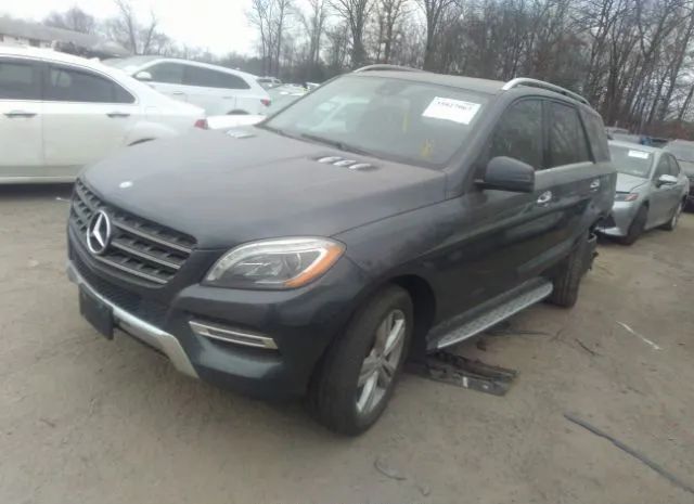 Photo 1 VIN: 4JGDA5HB8EA328233 - MERCEDES-BENZ M-CLASS 