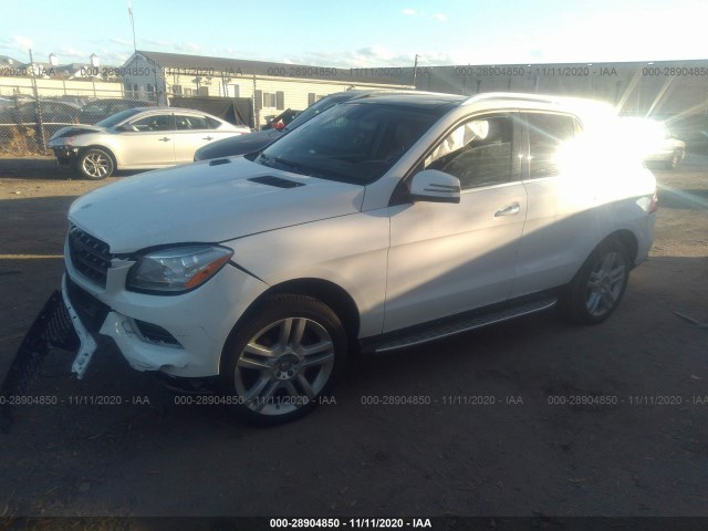 Photo 1 VIN: 4JGDA5HB8FA441939 - MERCEDES-BENZ M-CLASS 