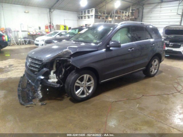 Photo 1 VIN: 4JGDA5HB8FA522987 - MERCEDES-BENZ M-CLASS 