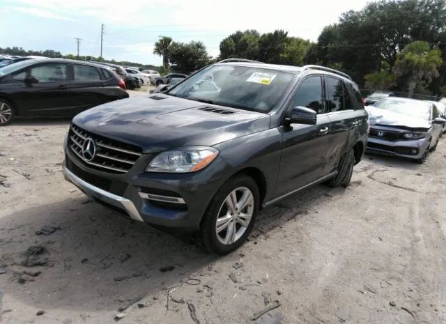 Photo 1 VIN: 4JGDA5HB8FA524870 - MERCEDES-BENZ M-CLASS 