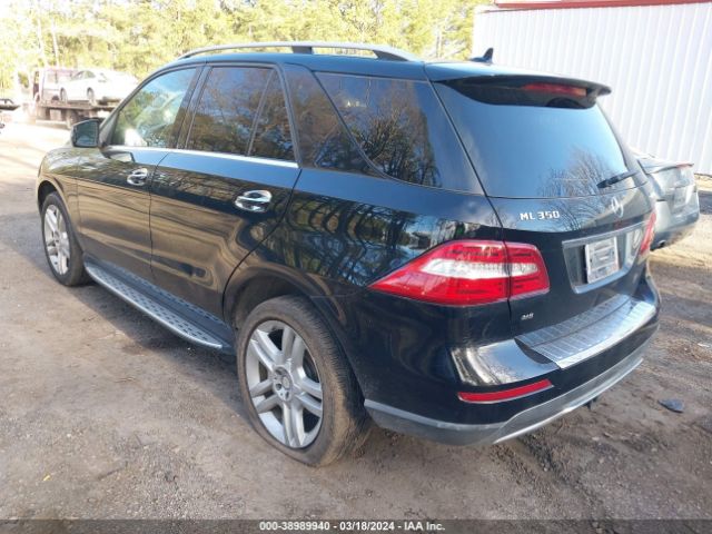 Photo 2 VIN: 4JGDA5HB9DA248728 - MERCEDES-BENZ ML 350 