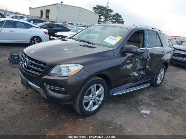 Photo 1 VIN: 4JGDA5HB9EA277616 - MERCEDES-BENZ ML 350 