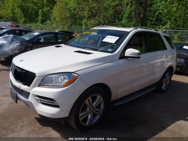 Photo 1 VIN: 4JGDA5HB9EA343436 - MERCEDES-BENZ ML 350 