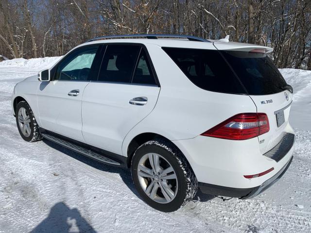 Photo 2 VIN: 4JGDA5HB9EA366117 - MERCEDES-BENZ ML 350 4MA 