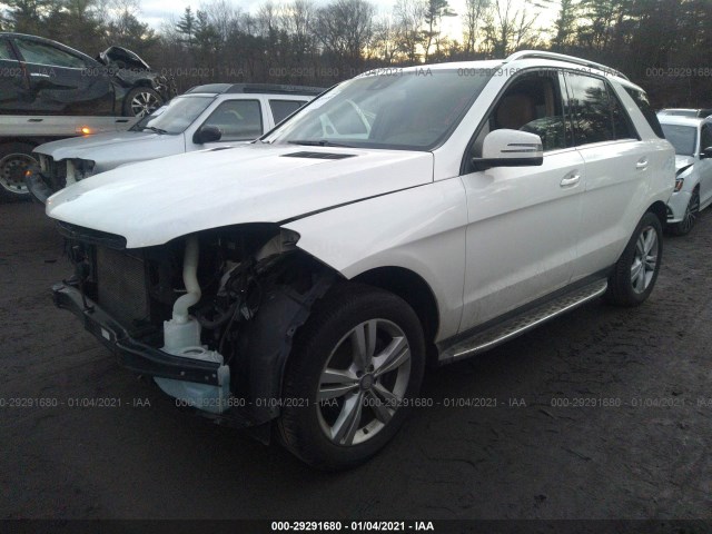 Photo 1 VIN: 4JGDA5HB9FA453999 - MERCEDES-BENZ M-CLASS 