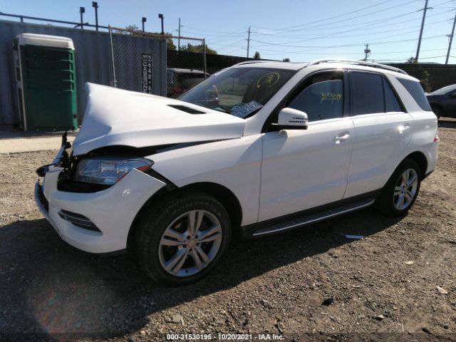 Photo 1 VIN: 4JGDA5HB9FA604565 - MERCEDES-BENZ M-CLASS 