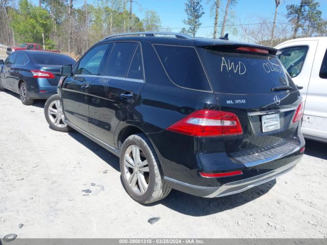 Photo 2 VIN: 4JGDA5HBXCA026634 - MERCEDES-BENZ ML 350 