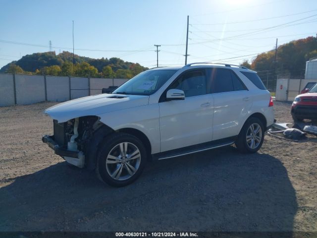 Photo 1 VIN: 4JGDA5HBXFA488485 - MERCEDES-BENZ ML-CLASS 