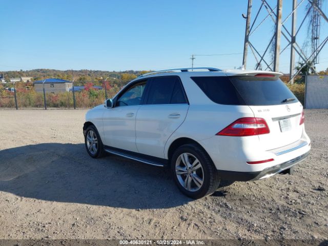 Photo 2 VIN: 4JGDA5HBXFA488485 - MERCEDES-BENZ ML-CLASS 