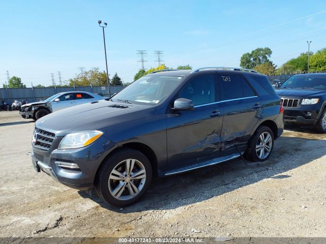 Photo 1 VIN: 4JGDA5HBXFA565078 - MERCEDES-BENZ ML-CLASS 