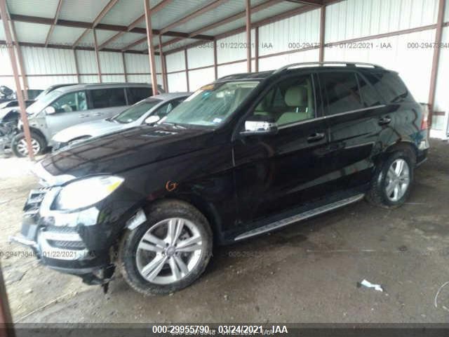 Photo 1 VIN: 4JGDA5JB0DA264343 - MERCEDES-BENZ M-CLASS 