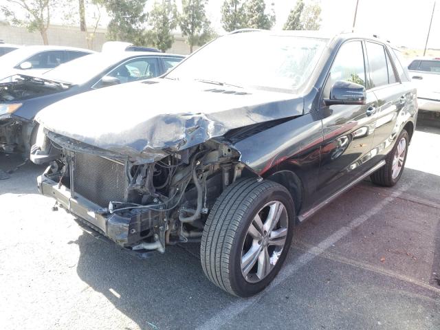 Photo 1 VIN: 4JGDA5JB0EA368509 - MERCEDES-BENZ ML 350 