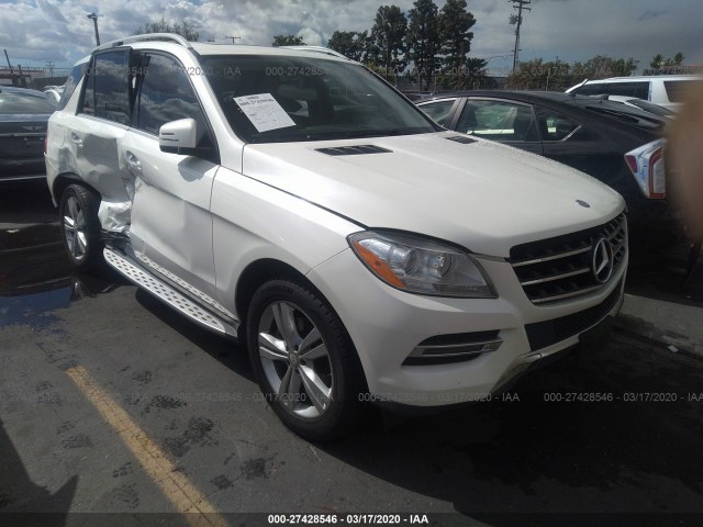 Photo 0 VIN: 4JGDA5JB0EA379719 - MERCEDES-BENZ M-CLASS 