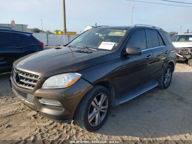 Photo 1 VIN: 4JGDA5JB0FA512626 - MERCEDES-BENZ ML 350 