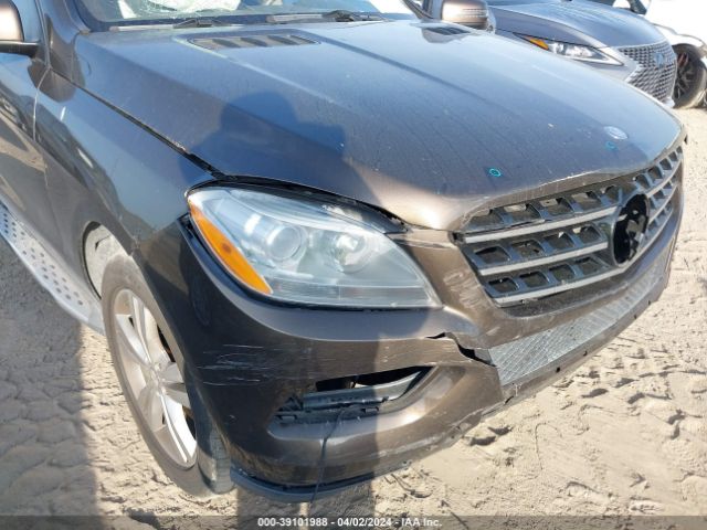 Photo 5 VIN: 4JGDA5JB0FA512626 - MERCEDES-BENZ ML 350 