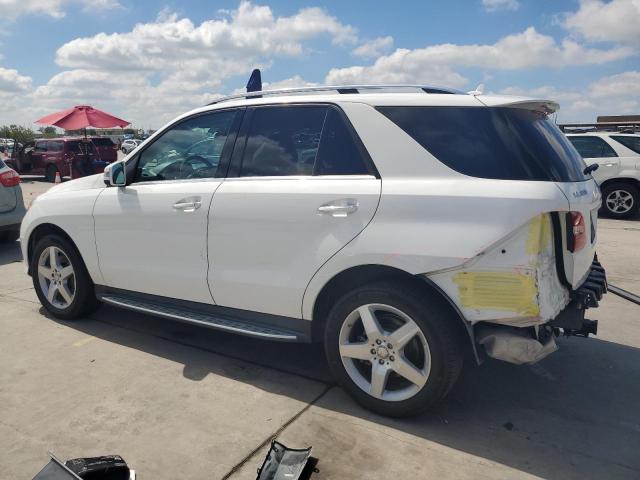 Photo 1 VIN: 4JGDA5JB0FA603606 - MERCEDES-BENZ ML 350 