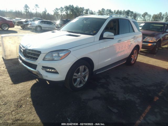 Photo 1 VIN: 4JGDA5JB0FA605906 - MERCEDES-BENZ M-CLASS 