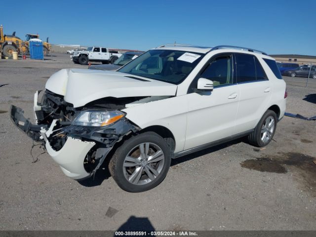 Photo 1 VIN: 4JGDA5JB1DA116847 - MERCEDES-BENZ ML 350 