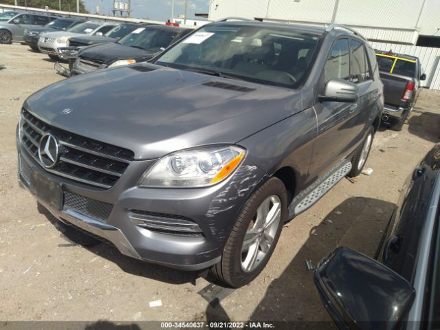 Photo 1 VIN: 4JGDA5JB1DA160623 - MERCEDES-BENZ M-CLASS 