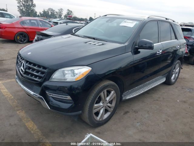 Photo 1 VIN: 4JGDA5JB1EA385416 - MERCEDES-BENZ ML 350 