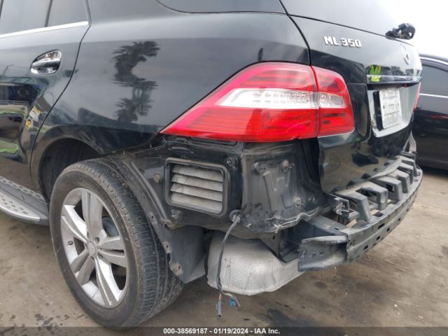 Photo 5 VIN: 4JGDA5JB1EA385416 - MERCEDES-BENZ ML 350 