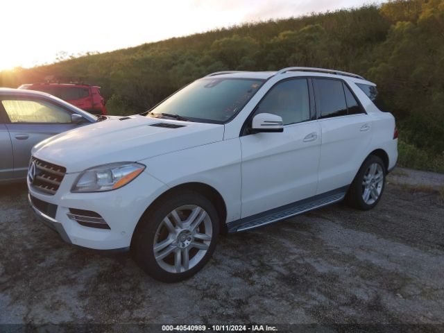 Photo 1 VIN: 4JGDA5JB1FA474307 - MERCEDES-BENZ ML-CLASS 