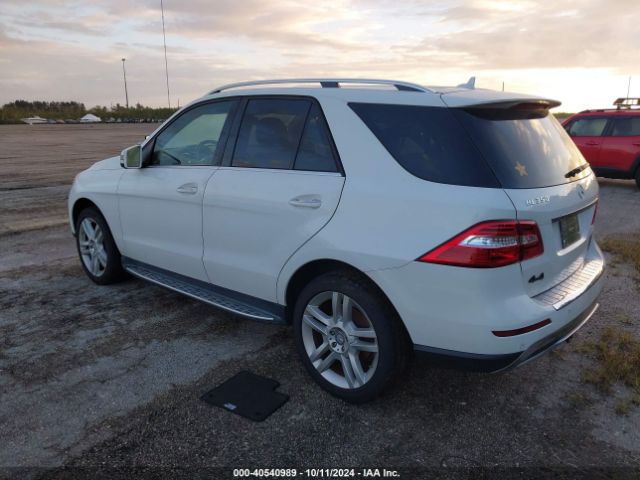 Photo 2 VIN: 4JGDA5JB1FA474307 - MERCEDES-BENZ ML-CLASS 