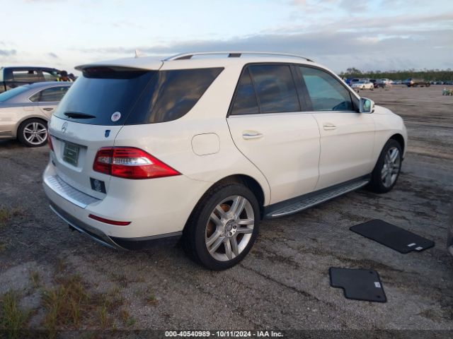 Photo 3 VIN: 4JGDA5JB1FA474307 - MERCEDES-BENZ ML-CLASS 