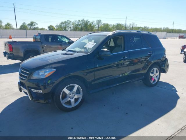 Photo 1 VIN: 4JGDA5JB1FA488661 - MERCEDES-BENZ ML 350 