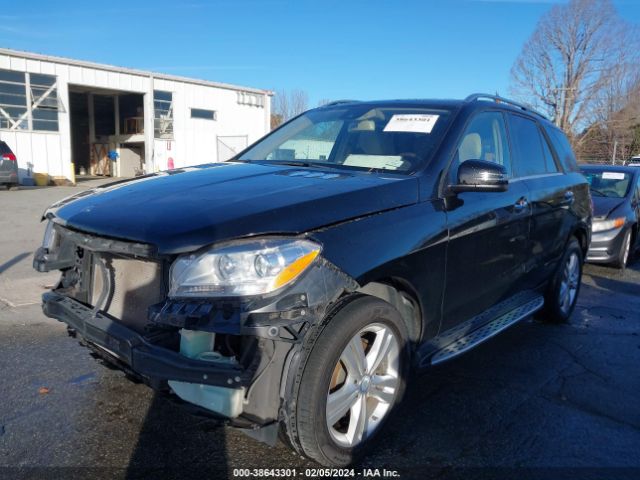 Photo 1 VIN: 4JGDA5JB1FA519956 - MERCEDES-BENZ ML 350 