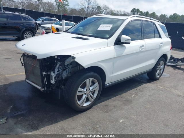 Photo 1 VIN: 4JGDA5JB1FA561348 - MERCEDES-BENZ ML 350 