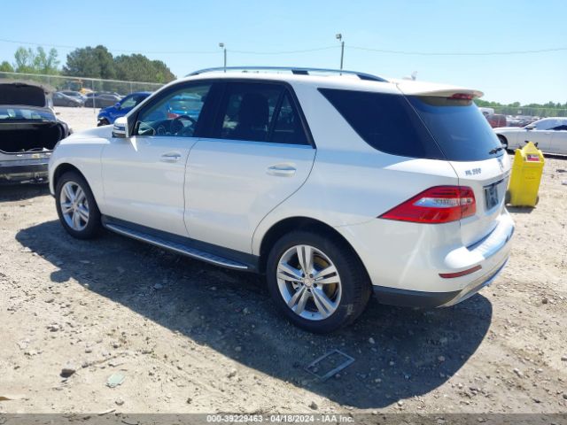 Photo 2 VIN: 4JGDA5JB2EA316900 - MERCEDES-BENZ ML 350 