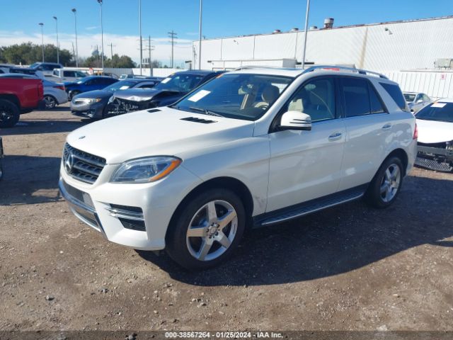 Photo 1 VIN: 4JGDA5JB2EA320445 - MERCEDES-BENZ ML 350 